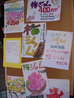 DSCN0231.JPG