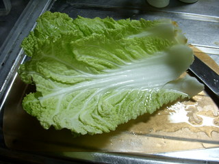 DSCN1094.JPG