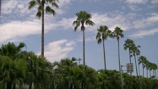 PIC_0018.JPG