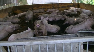 PIC_0020.JPG