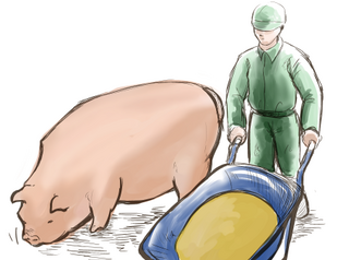osubuta_.png